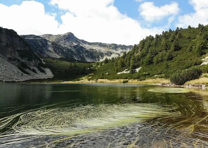 Great Location Near Lift * Bansko